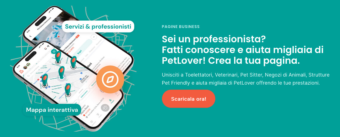 Babalù professionisti