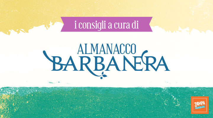 Barbanera