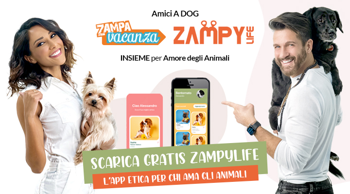 ZampyLife