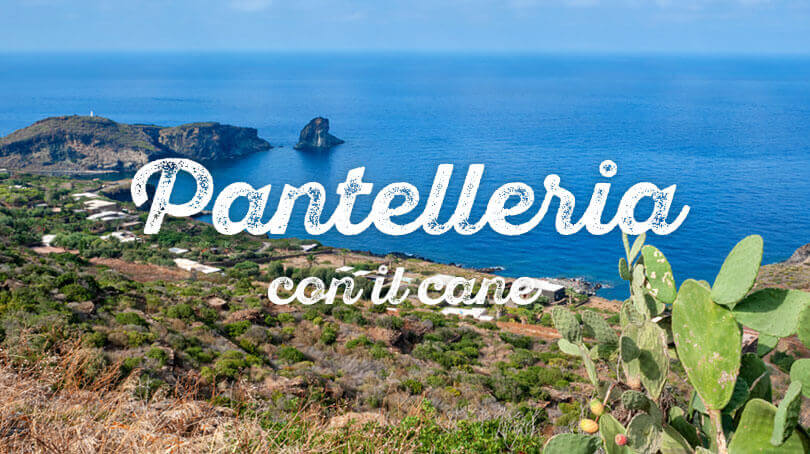 Pantelleria con cane