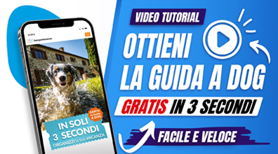 Come ottenere la Guida A Dog