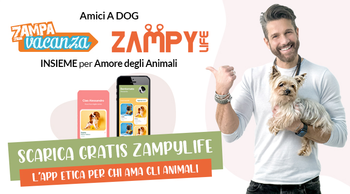 ZAMPYLIFE articolo su ZampaVacanza