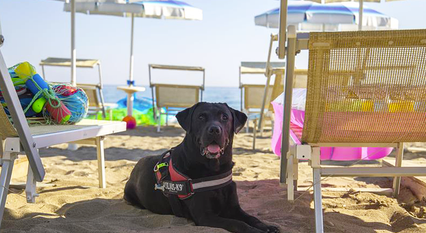 Vascellero Club Resort