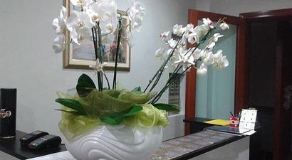 Struttura albergo ristorante pizzeria "pomposa "