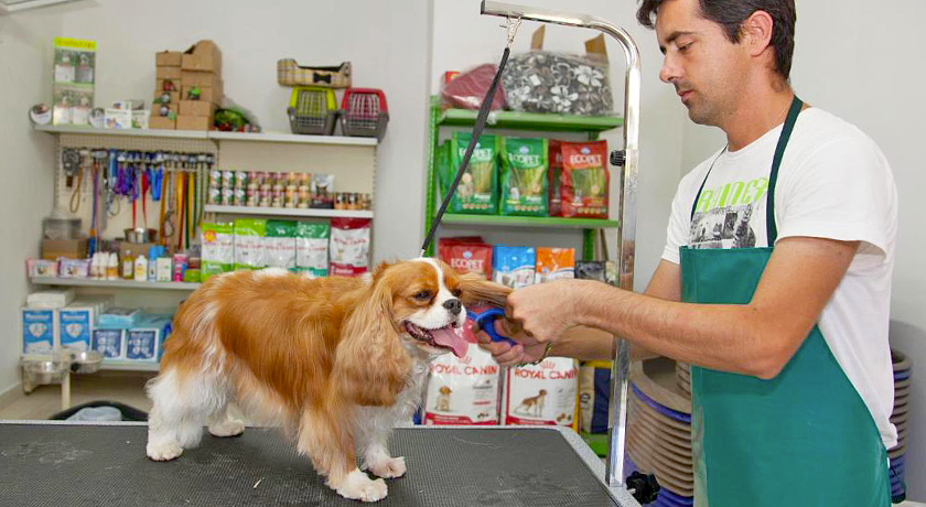 Vascellero Club Resort