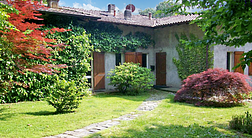 b&b l'albero maestro