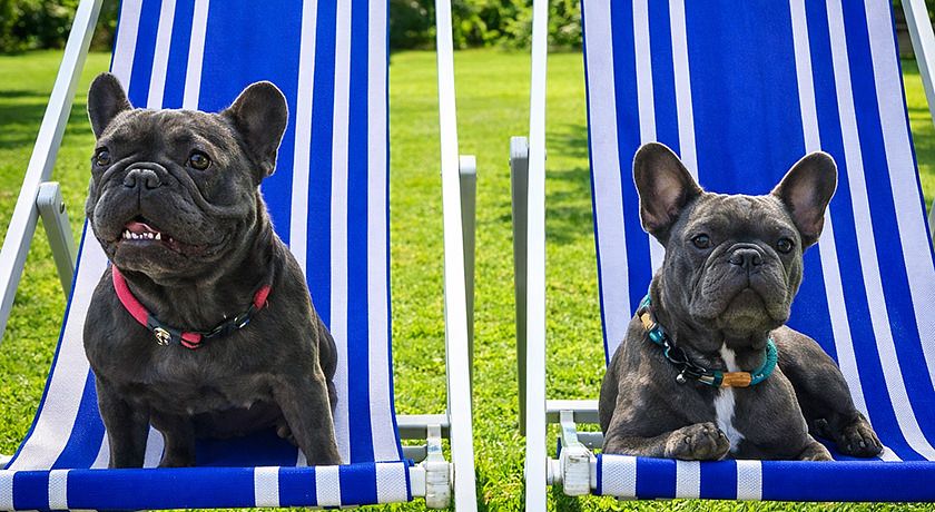 Agriturismo podere bello