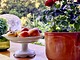 B&B la Fucinaia child free