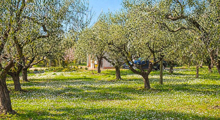 B&B Zasa Vivere la Campagna