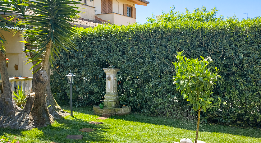 Dog Friendly Sea House