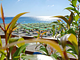 Mirabeau Park Hotel