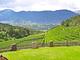 Agriturismo Alpenvidehof