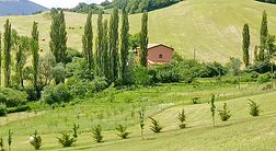 il casale del vento