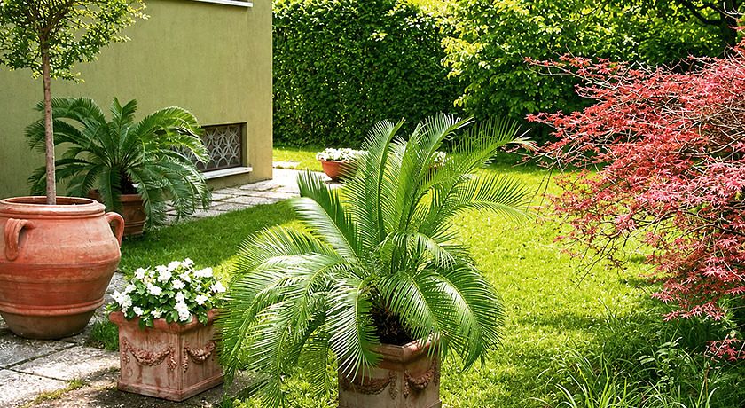 B&B Casa Boscolo