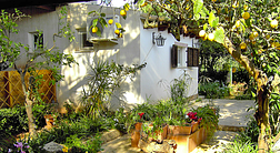 Tenuta Venezia