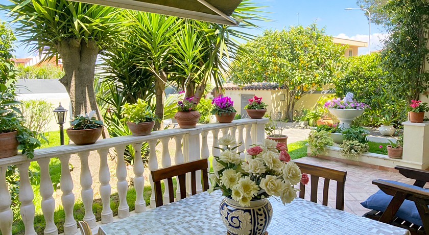 Dog Friendly Sea House