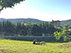 Agriturismo Il Cucciolo