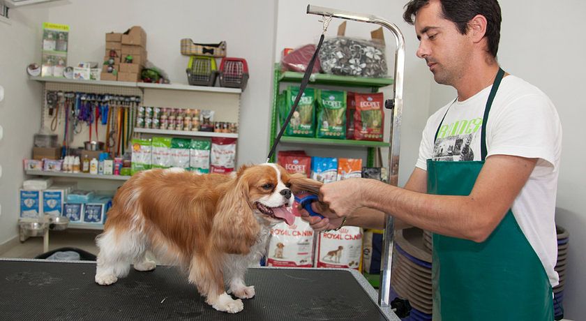 Vascellero Club Resort