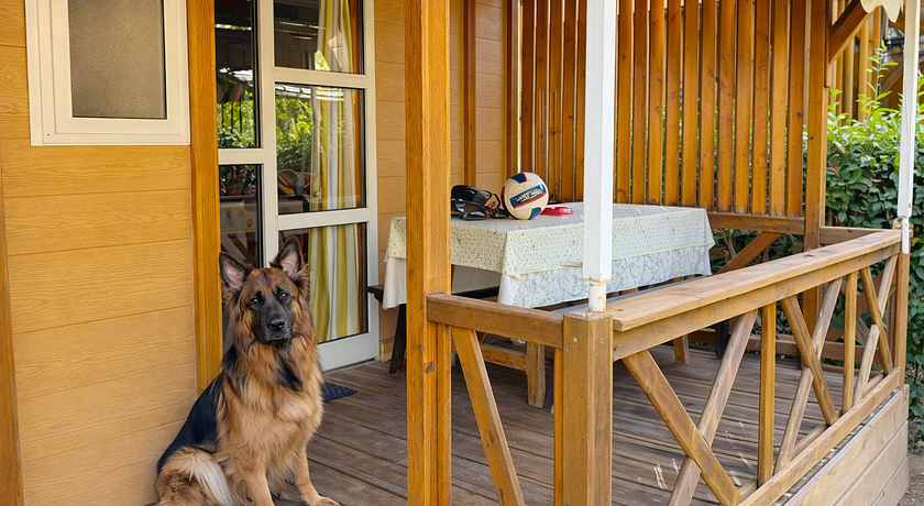 Riva dei Butteri Camping & Bungalow