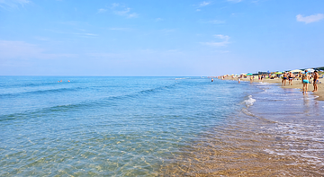 Dog Friendly Sea House