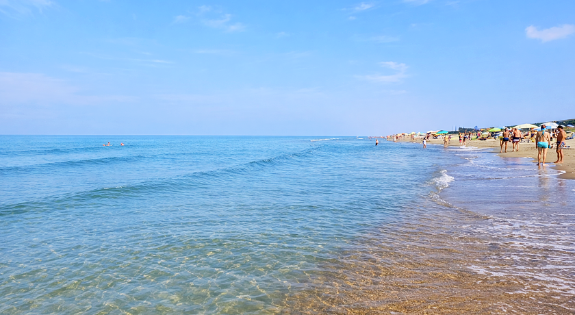 Dog Friendly Sea House