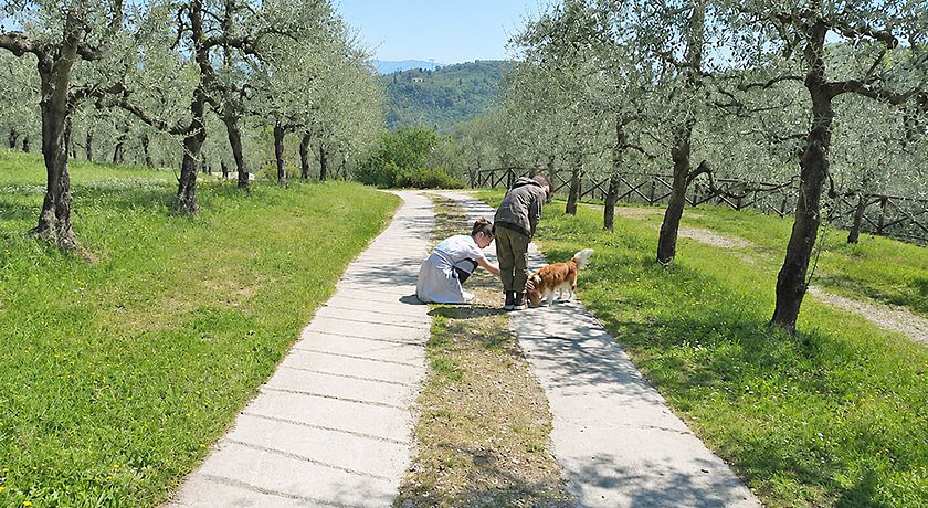 OASI AGRITURISTICA BAUGIANO