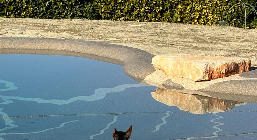 CasaBella 22 bed and breakfast- wellness for human and dogs