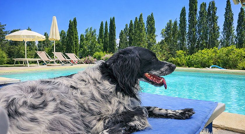 Agriturismo Fattorie Inghirami