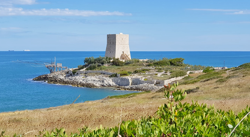 Vieste Marina