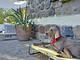 B&B Le Pozze Terme