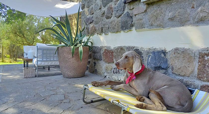 B&B Le Pozze Terme