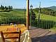 Agriturismo il Palagetto