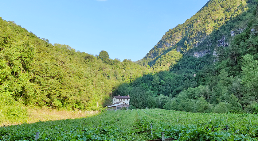 Agriturismo Maso Rocca 