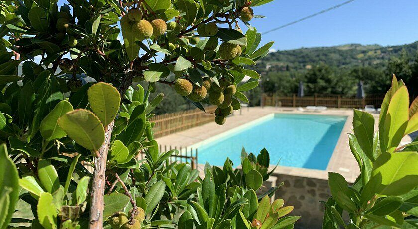 AGRITURISMO LA PALAZZETTA DI ASSISI 