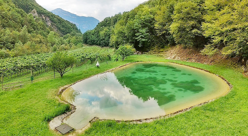 Agriturismo Maso Rocca 