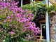 B&B la Fucinaia child free