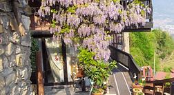 agriturismo LA SOGNATA