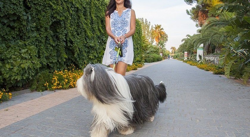 Vascellero Club Resort