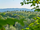 Agriturismo Tesorino