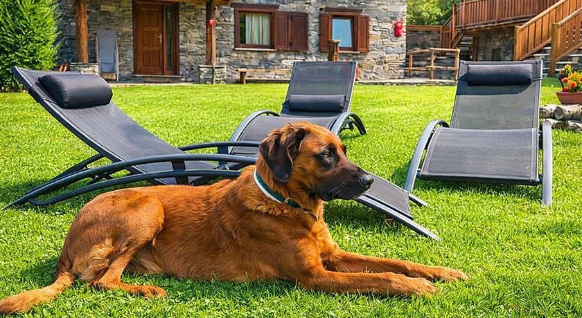 Residence Le Petit Coeur