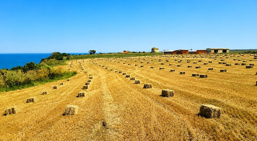 Agriturismo La Costa dei Trabocchi