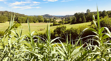 Lusi è in Collina 