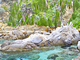 hotel ginevra isola d'elba
