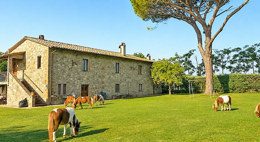 Il Paglia