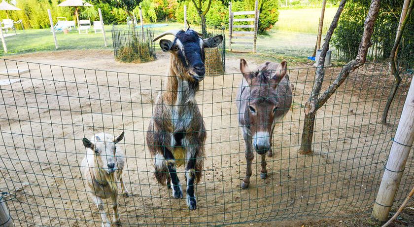 Agriturismo Dolce Verde