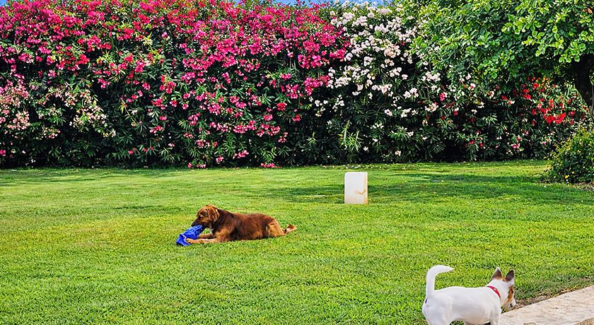 Torre Dantona Country Suites