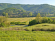 Agriturismo Il Cucciolo