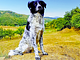 Agriturismo Il Cucciolo