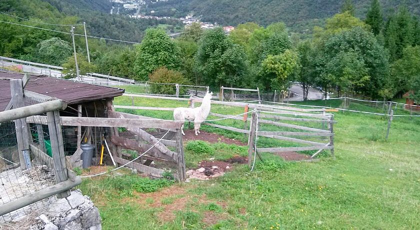 Agriturismo Il Capriolo Felice