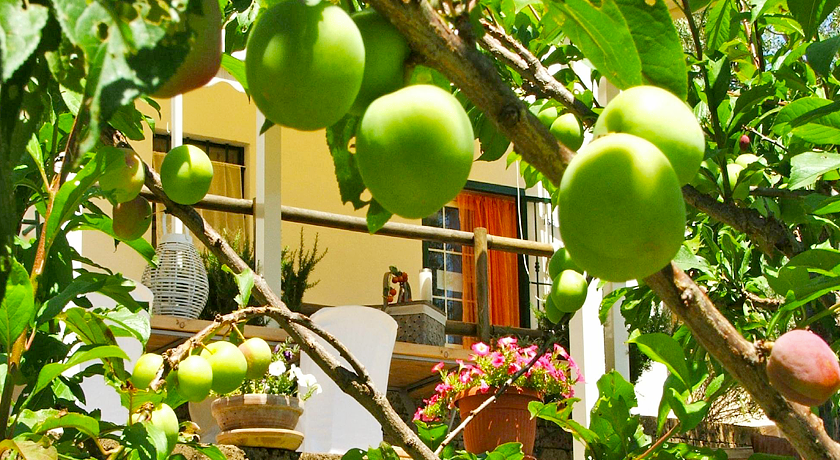 La Casina di Parrana